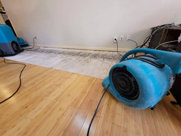 Professional Basement Flood Cleanup technician working in Hartsel, CO
